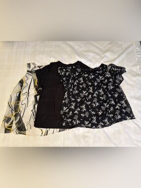 🖤🤍💛🖤 Bundle of 3: Alfani, Terra & Sky and Lane Bryant Casual Tops